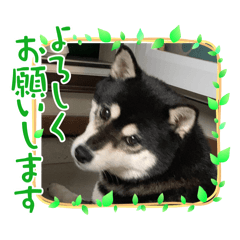 yuka_20240304221020