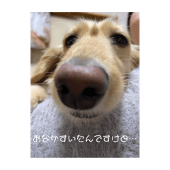 anisakis_20240304232932