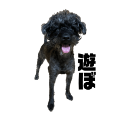 zizimaru_20240305121706