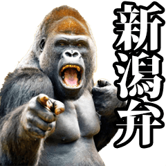Gorilla in Niigata dialect
