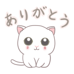 Cute cat design Sticker