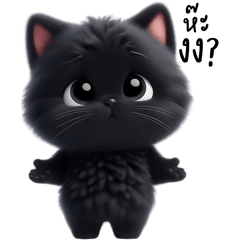 Black cat, soft and fluffy fur