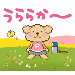 Putaro the Poodle Gentle spring edition