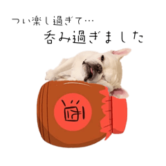 mochiko.buhi_20240303200614