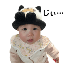 okapi_20240305152232