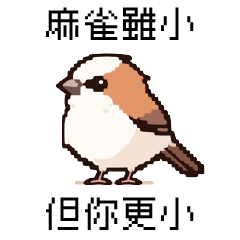 pixel party_8bit sparrow3