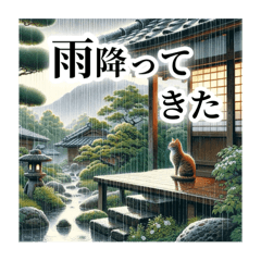 雨とネコ/日本の桜＆紫陽花