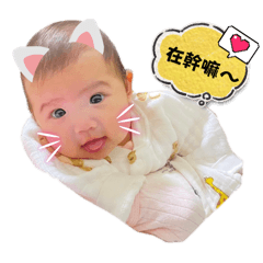 Allan-Bella-Enkai-kiwi超可愛訊息貼圖