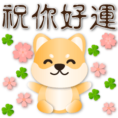 超實用語--可愛柴犬