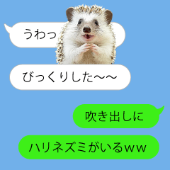 hedgehog speech bubble sticker.