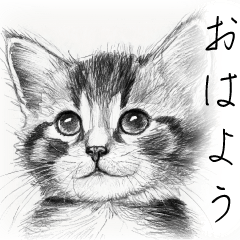 Sketch of a kitten1
