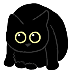 Round-eyed black cat 2