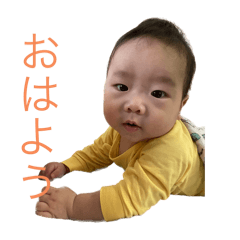suzu_20240306000008