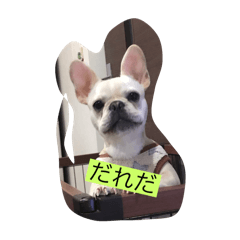 hana_20240305203146456