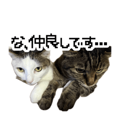 michiko_20240305233804