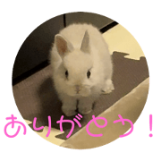 kazukin_20240306134617