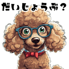 A cute poodle that can be used every day