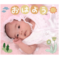 sayaka_2024yuzu