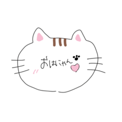 cute cat!(dairy)