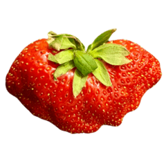 怪奇草莓 Weird strawberry