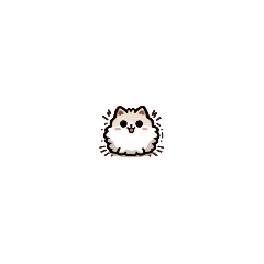 Super small fluffy cat