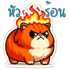 แก๊งเหมียว หัวร้อน