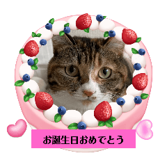 junko_20240306151454