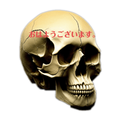 koko studio_20240306105356