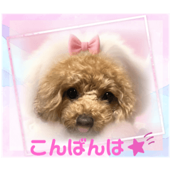 Sakura_20240306221945