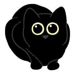 Round-eyed black cat 3