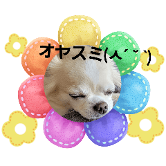 Yuri_20240307