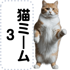 猫ミーム詰め合わせセット3【面白い動物】