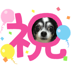 michiko_20240306230526