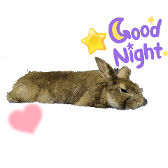 sakura_20240307013948