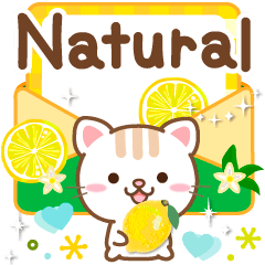 Natural cat, Popup Natural refreshing en