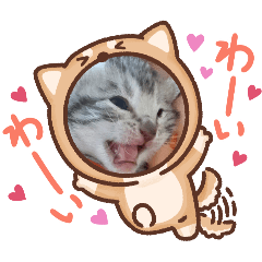 kayo_20240307143250