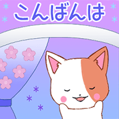 Ruki-cat7-pop