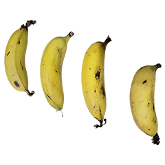 食品シリーズ : バナナ #6