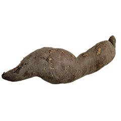 Food Series : Some Sweet Potato #14