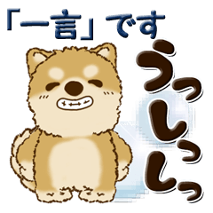 Shiba-inu (One word for now)
