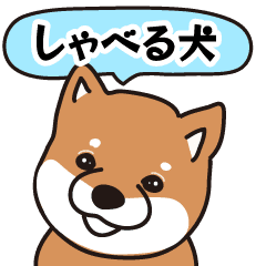 There is Sticker of real shiba inu.01