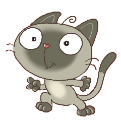 Funny Little Siamese cat