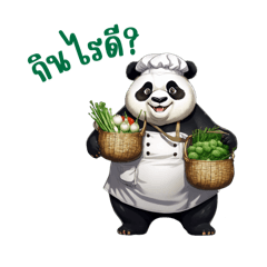 Panda XIN Boy