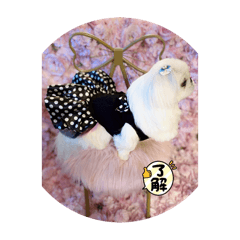 Nao_20240307225100
