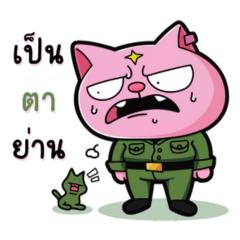 Maeo pink cat Army