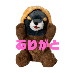 Zakki-_20240307155929