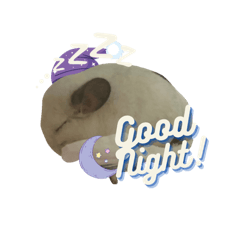 sayuri_20240307155027