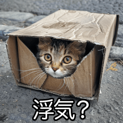 メンヘラ子猫【猫・ねこ・カップル】