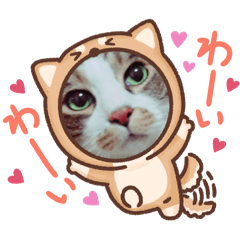 michiko_20240308140336