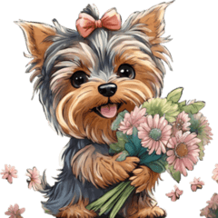 Silent cute Yorkshire terrier